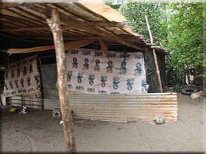 Nicaragua Homes